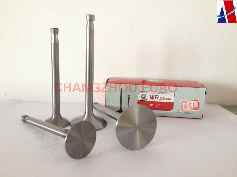 Diesel Engine Parts Intake Valve and Exhaust Valve For Different Model Engine
